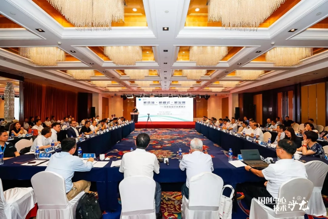 大会照.webp.jpg
